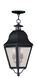 Amwell 2 Light 8 inch Black Outdoor Pendant Lantern