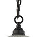 Liberty Park 1 Light 9 inch Oil Rubbed Bronze Pendant Ceiling Light