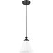 Fleur 1 Light 8 inch Matte Black Pendant Ceiling Light