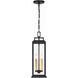 Aspen 4 Light 6.5 inch Matte Black Outdoor Pendant