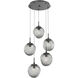 Aster LED LED Graphite Chandelier Ceiling Light, Round Multi-Port