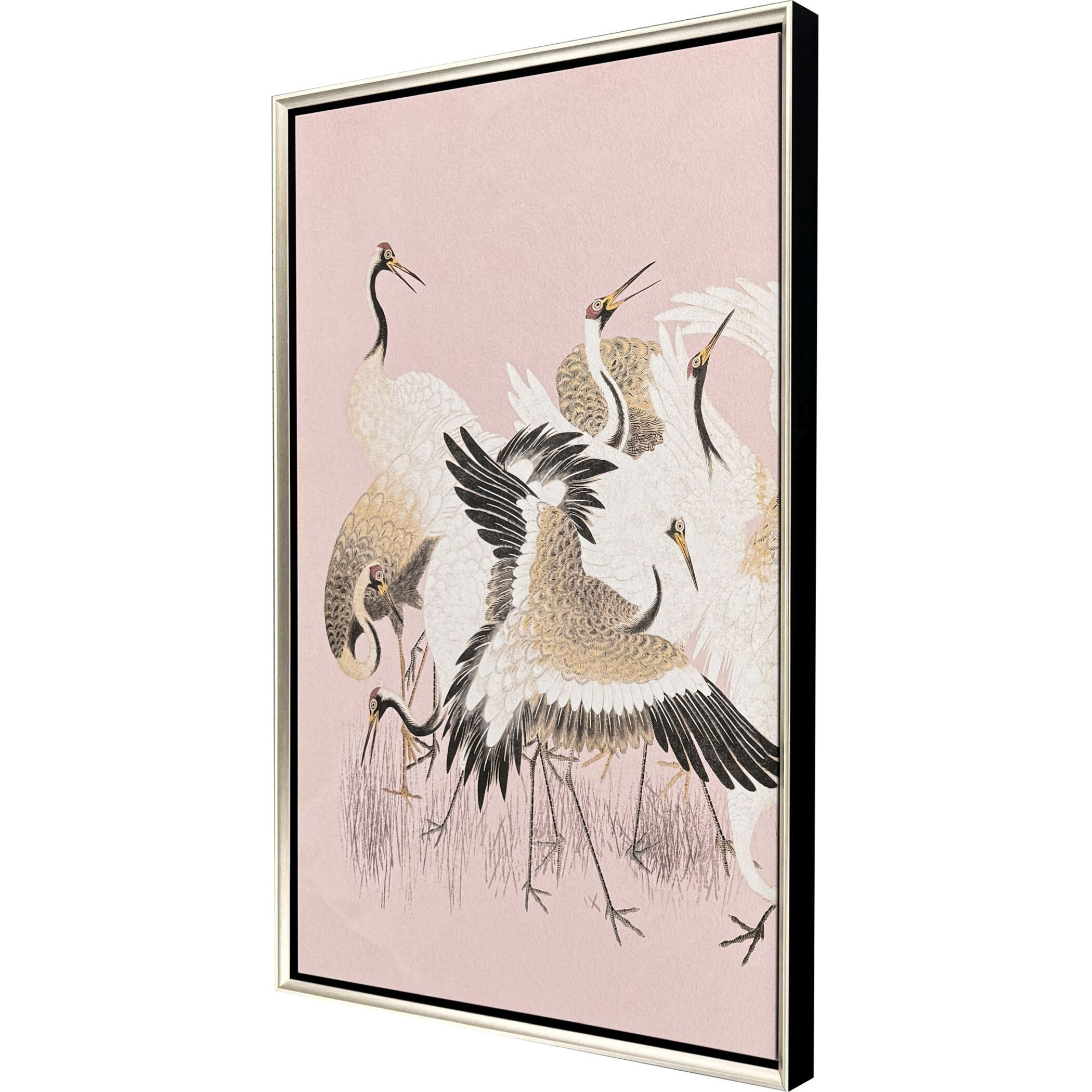 Curious Cranes Pink Canvas