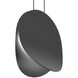 Malibu Discs LED 14 inch Satin Black Pendant Ceiling Light