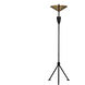 Jetset 71 inch 40.00 watt Matte Black with Antique Brass Floor Lamp Portable Light