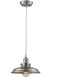 Biern 1 Light 10.71 inch Pewter Pendant Ceiling Light
