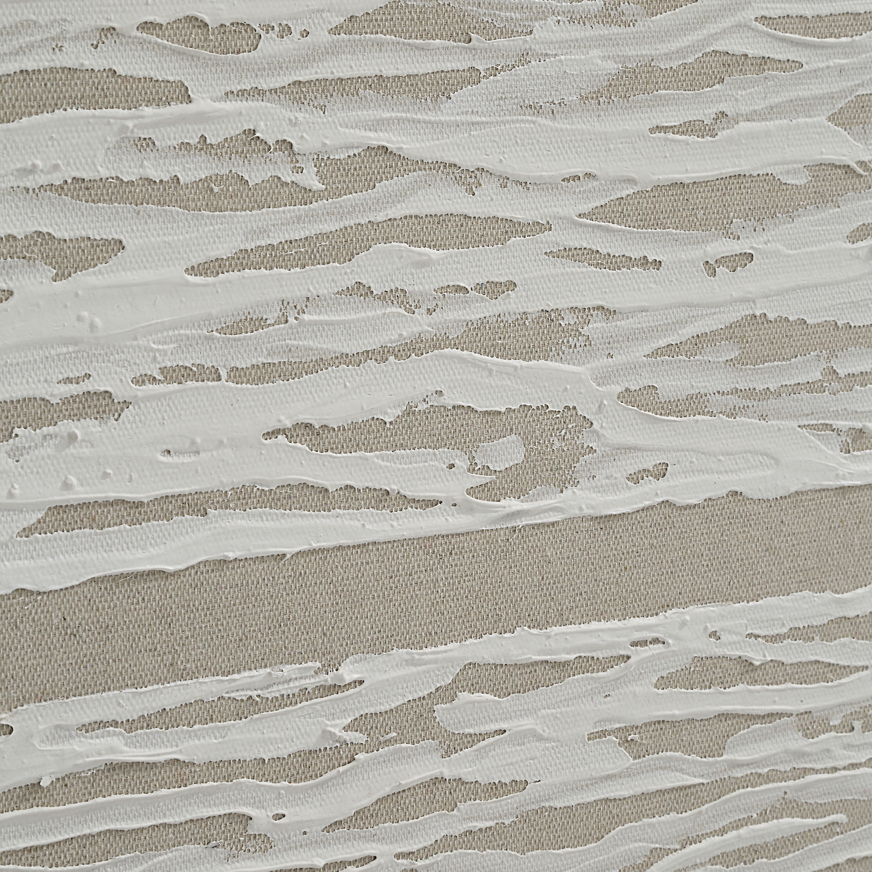 Chiari White and Beige Canvas Art