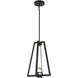 Haven LED 14 inch Matte Black Pendant Ceiling Light