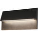 Dawn LED 9 inch Matte Black Wall Sconce Wall Light