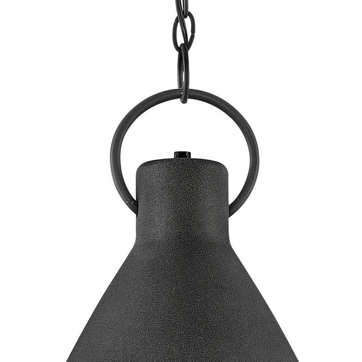Winnie 1 Light 12.25 inch Aged Zinc with Distressed Black Indoor Pendant Ceiling Light
