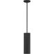 Pilson LED 5 inch Matte Black Pendant Ceiling Light 