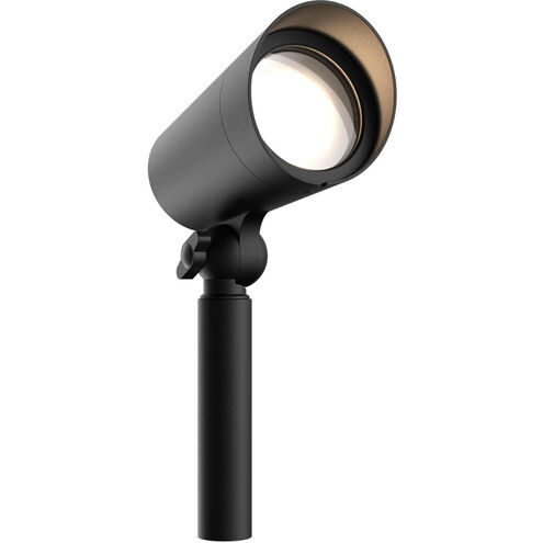 Forms 12V 10.00 watt Black Landscape Spotlight
