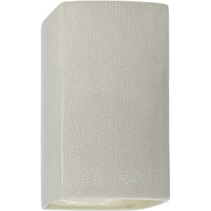 Ambiance Rectangle LED 13.5 inch White Crackle Outdoor Wall Sconce, Large