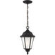 Bakersville 1 Light 7.88 inch Black Outdoor Pendant