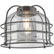 Franklin Restoration Bell Cage LED 9 inch Matte Black Mini Pendant Ceiling Light in Plated Smoke, Franklin Restoration