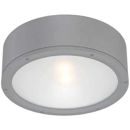 Tube 1 Light 12.00 inch Outdoor Ceiling Light