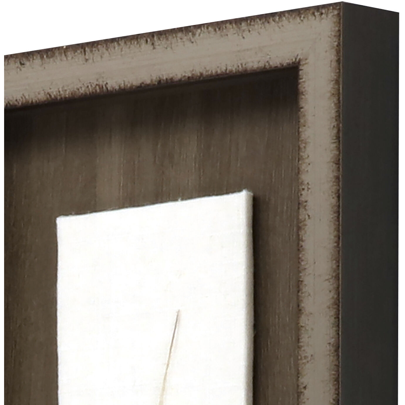 Lady Amhurst Feather Pheasant Feather Brown and Black and Neutral Framed Art