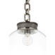 Marie Flanigan Bellamy LED 16 inch Pewter Globe Chandelier Ceiling Light in Clear Glass