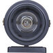 Maddox 1 Light 11.25 inch Black Outdoor Wall Lantern