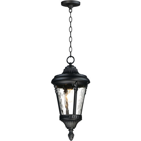 Sentry 1 Light 9 inch Black Outdoor Hanging Lantern