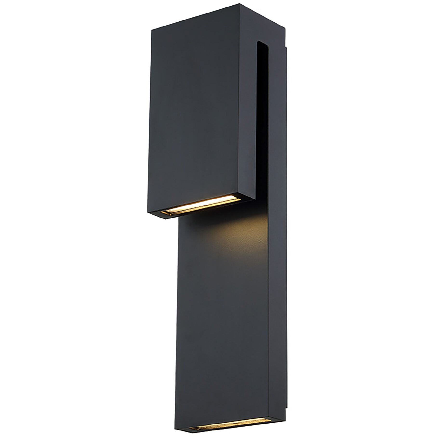 Double Down LED 18 inch Black Outdoor Wall Light