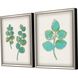 Florals Collection Silver Leaf Wood Shadow Box Style With Gold Wash Edging And Black Side Framed Art
