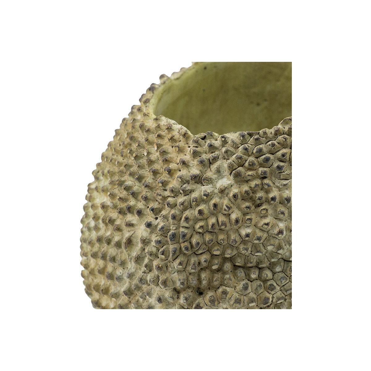 Jackfruit Light Green Outdoor Planter