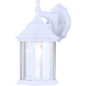 Madison 1 Light 8 inch White Outdoor Lantern, Downlight