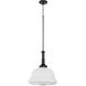 Revival 1 Light 16 inch Matte Black Pendant Ceiling Light