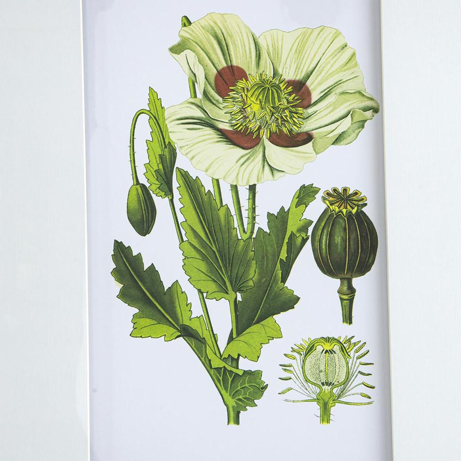 Anita Black/White Wall Art