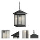 Portland 1 Light 9.5 inch Oil Rubbed Bronze Outdoor Chain Mount Ceiling Fixture in Clear Seedy Glass, 5.91