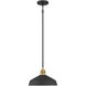 Axlen 1 Light 12 inch Matte Black and Vintage Brass Pendant Ceiling Light