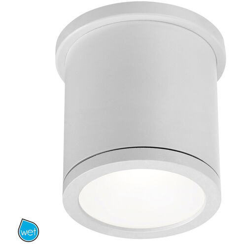 Tube LED 4.5 inch White Outdoor Flush