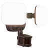 Theta LED 7.75 inch Bronze Outdoor Security in 2