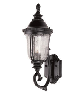 Chessie 1 Light 20 inch Black Copper Outdoor Wall Lantern