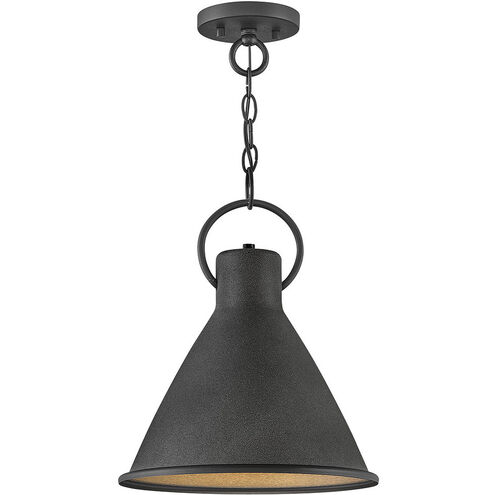 Winnie LED 12 inch Aged Zinc with Distressed Black Indoor Pendant Ceiling Light