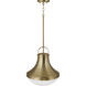 Arlo 1 Light 14 inch Aged Brass Pendant Ceiling Light