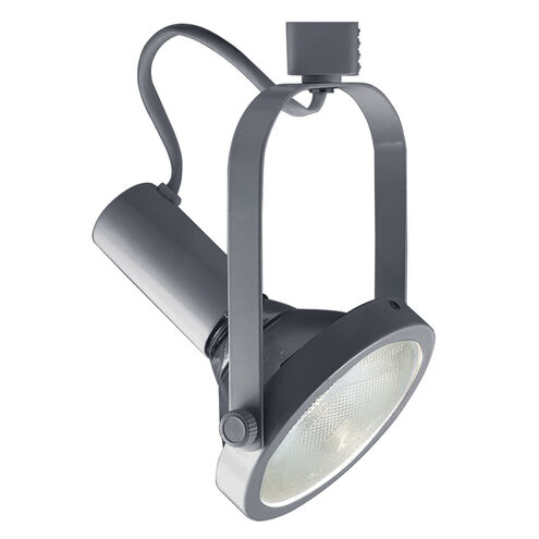 Classic 1 Light 120V Satin Chrome Track Lighting Ceiling Light
