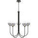 Iissa 5 Light 34 inch Black Chandelier Ceiling Light in Smoke