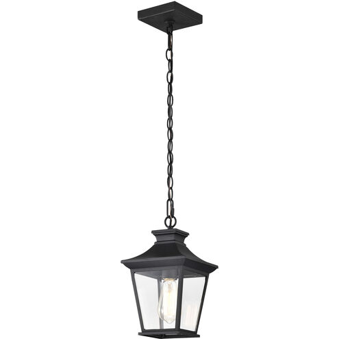 Jasper 8 inch Matte Black Outdoor Hanging Lantern