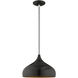 Allison 1 Light 12 inch Shiny Black Mini Pendant Ceiling Light