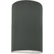 Ambiance Collection LED 12.5 inch Pewter Green Outdoor Wall Sconce