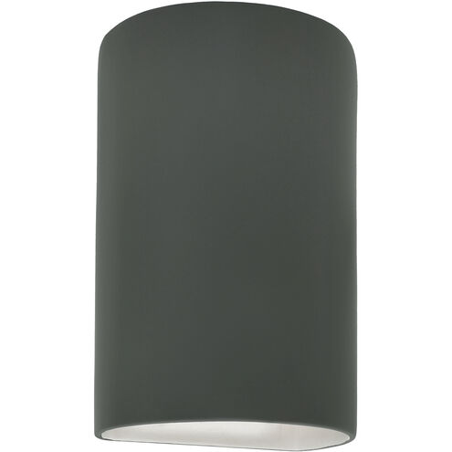 Ambiance Collection LED 12.5 inch Pewter Green Outdoor Wall Sconce