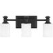 Harbour Point 3 Light 19 inch Coal Vanity Light Wall Light
