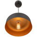 Orsa LED 11.5 inch Black and Brushed Brass Pendant Ceiling Light