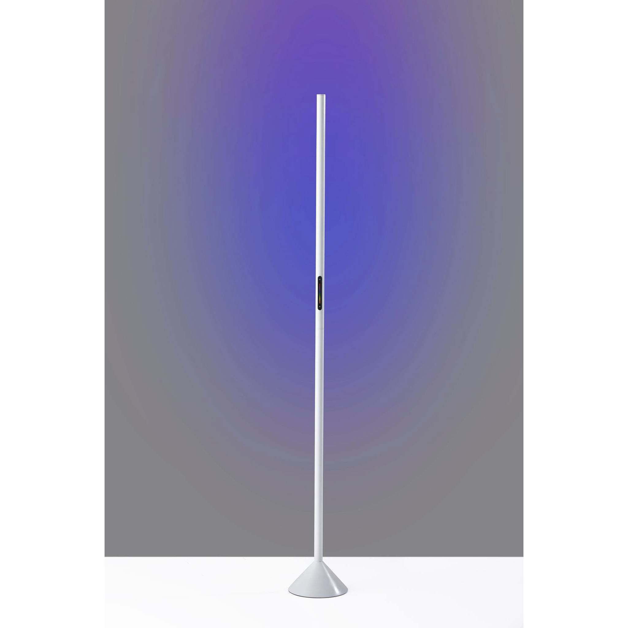 Cole 58 inch 12 watt Matte White Color Changing Wall Washer Floor Lamp Portable Light, Simplee Adesso