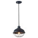 Burke 1 Light 10 inch Antique Forged Iron Pendant Ceiling Light