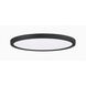 Outskirts 20 inch Earth Black Flush Mount Ceiling Light