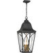 Cardigan 3 Light 11 inch Sand Coal and Olden Brass Outdoor Pendant, Great Outdoors