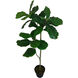 Potted Fiddle Leaf Tree Napoleon Bronze with Distressed Gold Leaf Faux Fiddle Leaf Tree