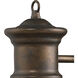 Maritime 1 Light 10 inch Hazelnut Bronze Outdoor Sconce